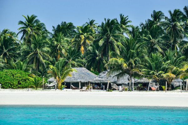 Explore premier guided journeys along the stunning jurassic coastline