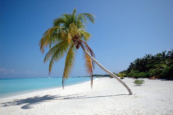 Embark on a gourmet journey in padstow: explore its exceptional seafood treasures